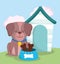 Pet shop, cute dog sitting with collar food and house animal domestic cartoon