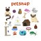 Pet shop decorative icons set with canary, fish, chameleon, rabbit, dog and cat icons and goods for pets cartoon
