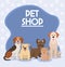 pet shop, different dogs animals domestic poster