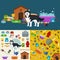 Pet shop, dog goods and supplies, store products for care