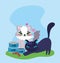 Pet shop, fluffy kittens with fish can and cookies animal domestic cartoon