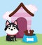 Pet shop, little dog with bone collar food and house animal domestic cartoon