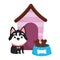 Pet shop, little dog with bone collar food and house animal domestic cartoon