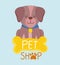 Pet shop, little dog sitting with collar and bone animal cartoon
