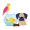 Pet shop, little puppy bird fish and cookie animal domestic cartoon