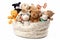 pet toy basket filled with plush and squeaky toys, perfect for playtime