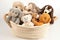 pet toy basket filled with plush and squeaky toys, perfect for playtime