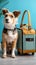 Pet travel essentials Cute dog poses with carrier, blue background