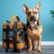 Pet travel essentials Cute dog poses with carrier, blue background