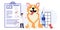 Pet vet veterinary doctor animal clinic Dog pills flat icon