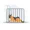 pet and veterinary concept. Sick dog has an Infusion therapy laying in cage. a dog giving a drip . Flat vector cartoon
