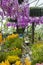 The Petal Garden in Canopy park in Jewel Changi Airport