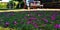 Petals of bougainvillea on grass in garden with playground, family hotel in Kemer, Mediterranean coast, Turkey