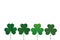 Petals of clover with the image on sticks. greeting card for St. Patrick`s Day with a blank space for text or advertising. Vector