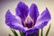 Petals of large delicate lilac iris flower on beige macro background.