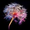 Petals in Motion: A Close-up of a Whirling Dandelion Seed