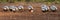 Petanque balls boules bowls on closeup on sand gravel court background, game of petanque on the ground