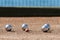 Petanque balls close up on sand gravel