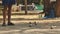 Petanque Balls and Orange Wooden Ball on Rock Yard with a Man Standing in the Shade - Sunny Day in the Park