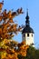 Peter and Paul church in Reichenbach-im-Vogtland town in Saxony, Germany