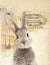 Peter Rabbit Bunny vintage Collage - Count your Blessings