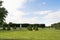 Petergof, Russia, July 2019. View of the lawns of the Lower Park with a statue.