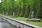 Peterhof, Russia - June 2022. The canal embankment with fountains, decoratively trimmed trees in the Lower Park of Peterhof.