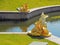 Peterhof, RUSSIA â€“ May 1, 2019: A part of Grand cascade ensemble. Golden sculpture of a mermaid sitting close to water