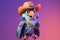 Petfluencers - A Parrot\\\'s Dream Comes True: A Day in the Cowboy Boots on Purple Background