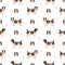 Petit Basset Griffon Vendeen seamless pattern. Different poses, coat colors set