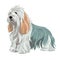 Petit Basset Griffon Vendeen Watercolor Painting in Soft Pastel Colors for Invitations and Posters.