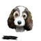 Petit Basset Griffon VendÃ©en or PBGV short-legged hound type French dog breed digital art illustration isolated on white