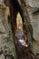 Petit Tsingy de Bemaraha, amazing landscape, Madagascar wilderness landscape