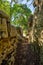 Petit Tsingy de Bemaraha, Madagascar wilderness landscape