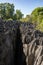 Petit Tsingy de Bemaraha, Madagascar wilderness landscape