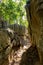 Petit Tsingy de Bemaraha, Madagascar wilderness landscape