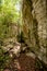 Petit Tsingy de Bemaraha, Madagascar wilderness landscape