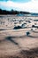Petoskey stones laying on Lake Michigan`s beach in Charlevoix Michigan