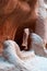 Petra, canyon, Siq, Petra Archaeological Park, Jordan, Middle East, mountain, desert, landscape, climate change