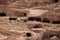 Petra Caves with Goats