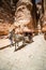 Petra, Jordan, - may, 2019. Tourists in the ancient city of Petra in Jordan