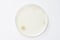 Petri dish and culture media with bacteria on white background with clipping, solid media, nutrient agar, Test various germs.