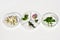 Petri dishes with various kinds of herbs