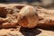 A petrified egg the remains of a dinosaur hidden within the rock. AI generation