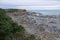 Petrified forest at Curio Bay, New Zealand