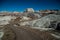 PETRIFIED FOREST. Famous point on Route 66.