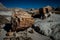 PETRIFIED FOREST. Famous point on Route 66.