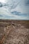 Petrified Forest Landscapes