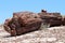 Petrified Forest National Park - Geological Wonder of Arizona