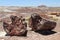 Petrified Forest National Park - Geological Wonder of Arizona